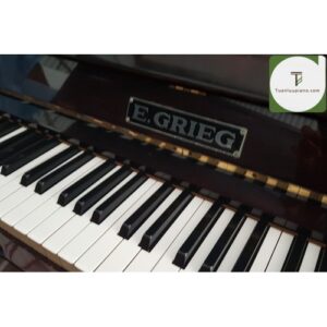 Đàn Piano cơ E.GRIEG
