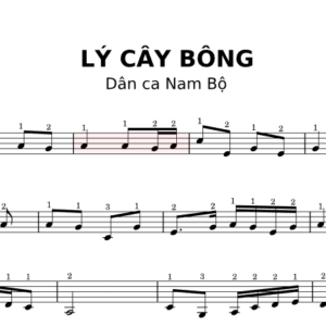 Bản Nhạc - Bai Ly Cay Bong - Piano