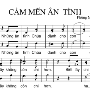 Bản Nhạc - Cảm Mến Ân Tình - Piano