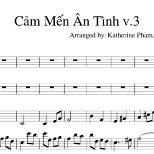 Bản Nhạc - Cảm Mến Ân Tình Pdf - Piano