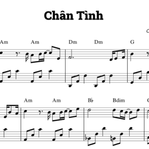 Bản Nhạc - Chân Tình Hợp Âm - Piano
