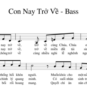 Bản Nhạc - Con Nay Trở Về Pdf - Piano