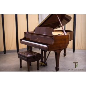 Đàn grand piano Steinway & Sons model O