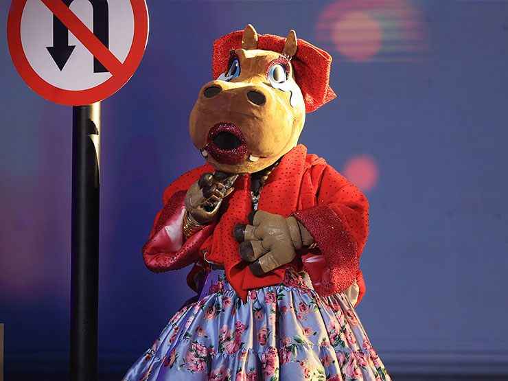 Hippo Happy có phải là thương hiệu cá nhân?