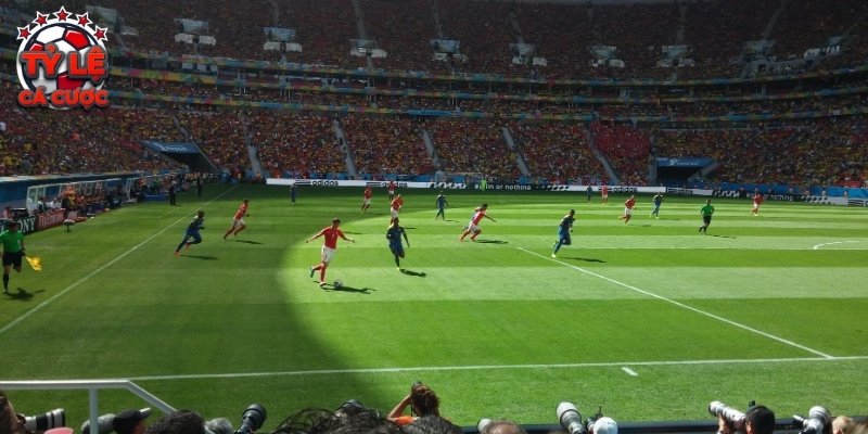 Tỷ lệ cá cược cung cấp công cụ soi kèo dựa trên dữ liệu trận đấu