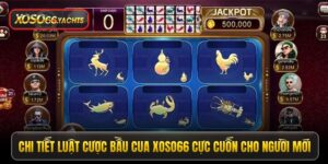 Chi tiết luật cược bầu cua Xoso66 cực cuốn cho người mới
