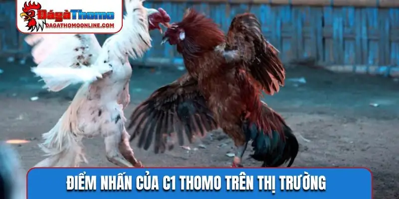 Diễn biến đá gà C1 – Đọc thế trận thay vì chờ kết quả