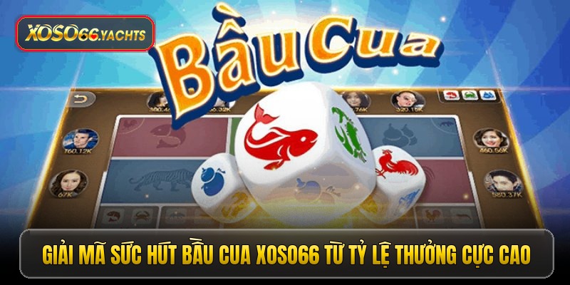 Giải mã sức hút bầu cua Xoso66 từ tỷ lệ thưởng cực cao