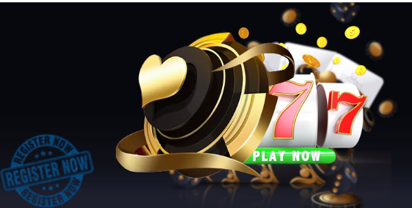 Định hướng điều khoản năm 2026