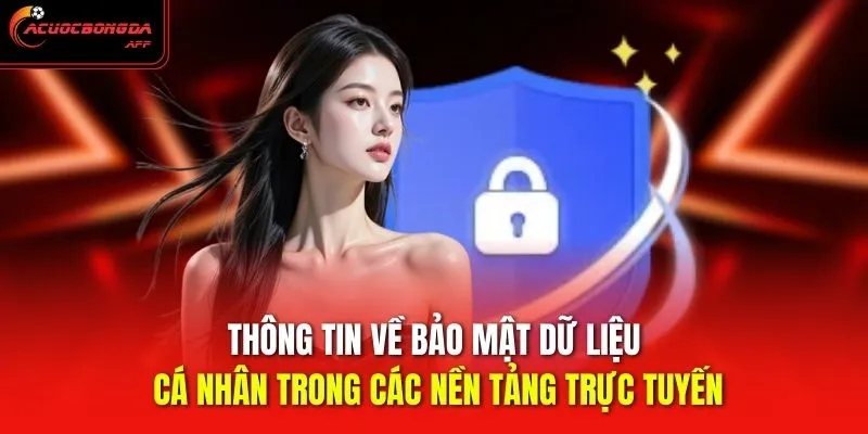 Thông tin về bảo mật dữ liệu cá nhân trong các nền tảng trực tuyến