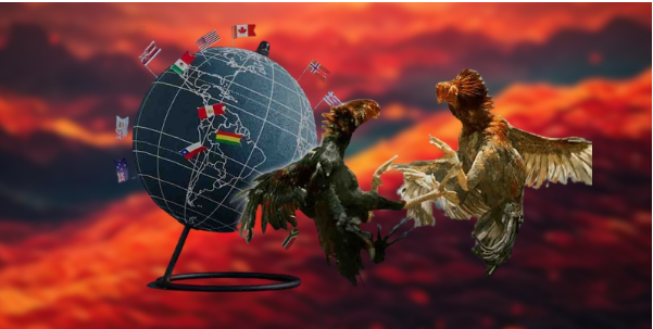 Phân tích phong độ chiến kê trước giờ thi đấu