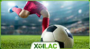 Tổng quan bảng xếp hạng – Theo dõi vị trí đội bóng và cục diện giải đấu