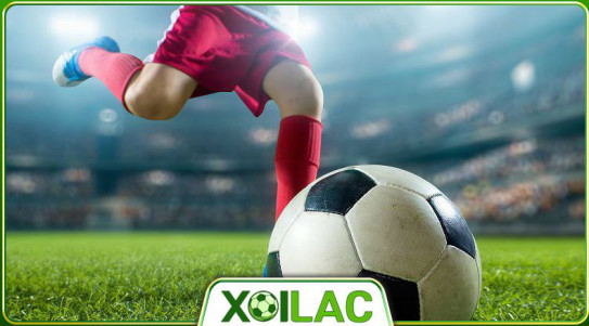 Tổng quan bảng xếp hạng – Theo dõi vị trí đội bóng và cục diện giải đấu