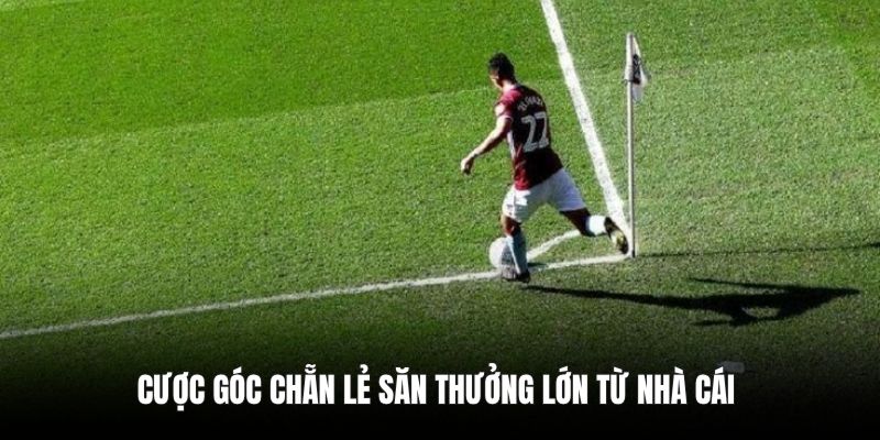 Cược góc chẵn lẻ săn thưởng lớn từ nhà cái