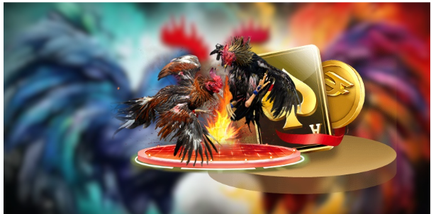 Đá gà 88 hệ sinh thái SV388 trải nghiệm quan sát trực tuyến