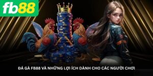Đá gà FB88 và những lợi ích dành cho các người chơi