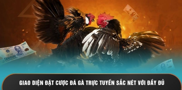 Giao diện đặt cược đá gà trực tuyến sắc nét với đầy đủ