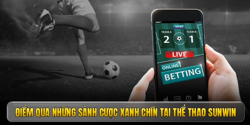 Điểm qua những sảnh cược xanh chín tại thể thao Sunwin