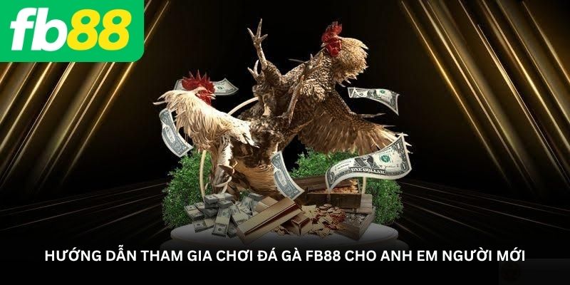 Hướng dẫn tham gia chơi đá gà FB88 cho anh em người mới