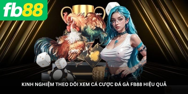 Kinh nghiệm theo dõi xem cá cược đá gà FB88 hiệu quả