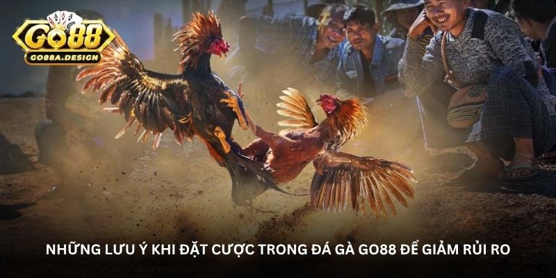 Những lưu ý khi đặt cược trong đá gà Go88 để giảm rủi ro