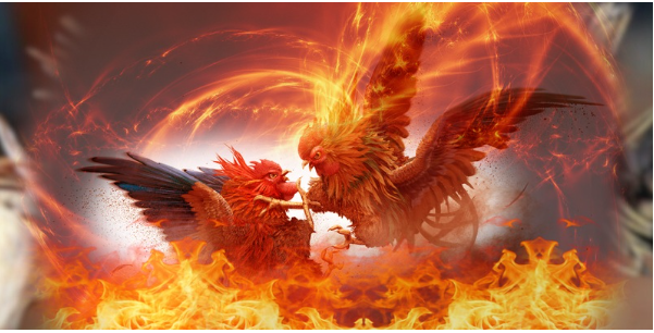 Không khí sôi động mang lại trải nghiệm chân thực