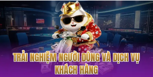 Trải nghiệm người dùng và dịch vụ khách hàng
