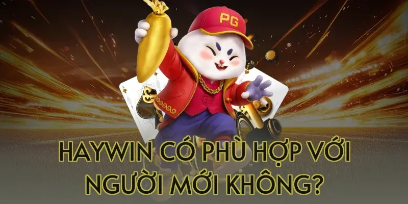 Haywin có phù hợp với người mới không?