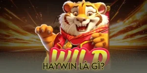 Haywin là gì?