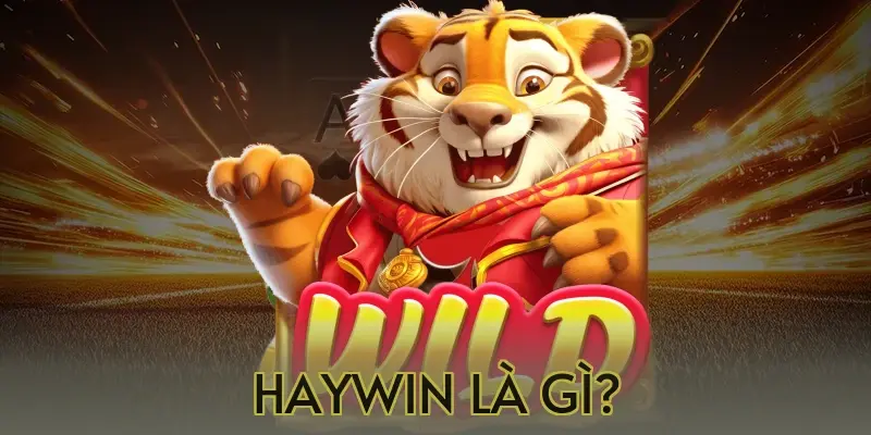 Haywin là gì?