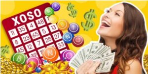 Các bước áp dụng hướng dẫn nuôi lô 7 ngày