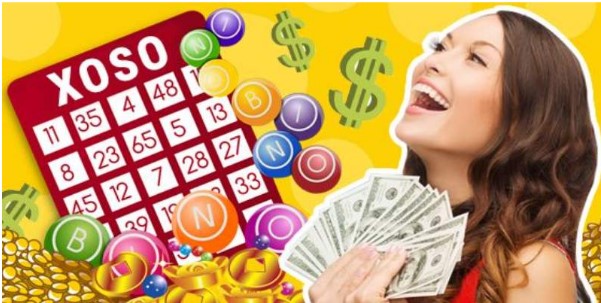 Các bước áp dụng hướng dẫn nuôi lô 7 ngày