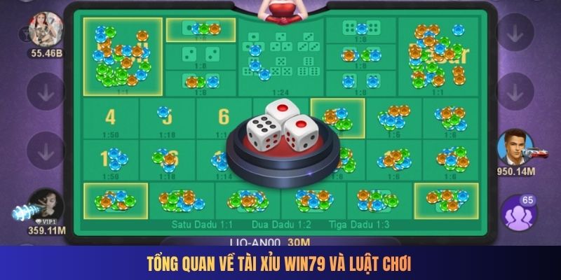 Tổng quan về Tài xỉu Win79 và luật chơi