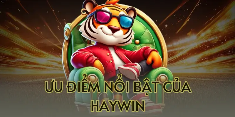 Ưu điểm nổi bật của Haywin