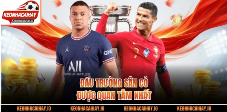 Đấu trường sân cỏ được quan tâm nhất