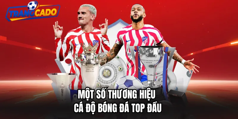 Một số thương hiệu cá độ bóng đá top đầu