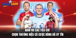 Nắm rõ các tiêu chí chọn thương hiệu cá cược bóng đá uy tín