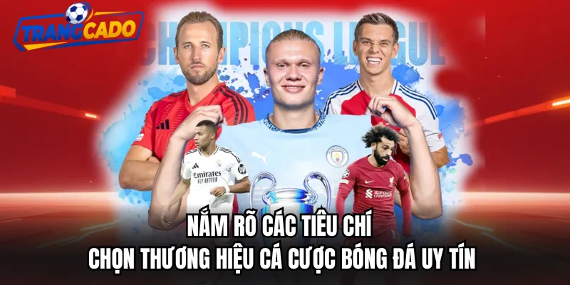 Nắm rõ các tiêu chí chọn thương hiệu cá cược bóng đá uy tín