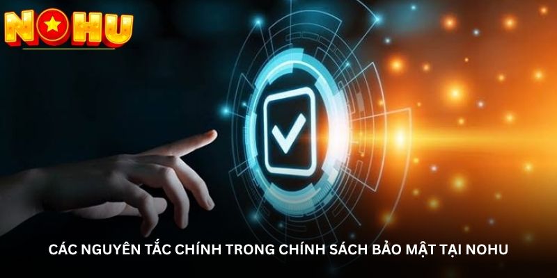 Các nguyên tắc chính trong chính sách bảo mật tại NOHU