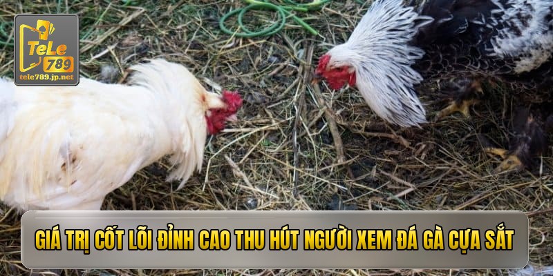 Giá trị cốt lõi đỉnh cao thu hút người xem đá gà cựa sắt