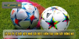 Lý do tỷ lệ bắt kèo nhà cái Đức luôn tạo cơn sốt bùng nổ