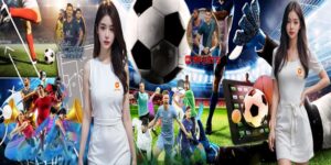 Tổng quan về nền tảng thể thao Max79 hiện đại