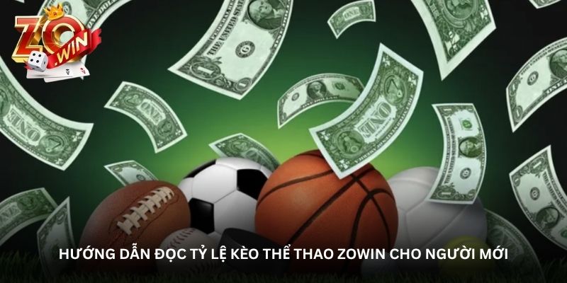 Hướng dẫn đọc tỷ lệ kèo thể thao Zowin cho người mới