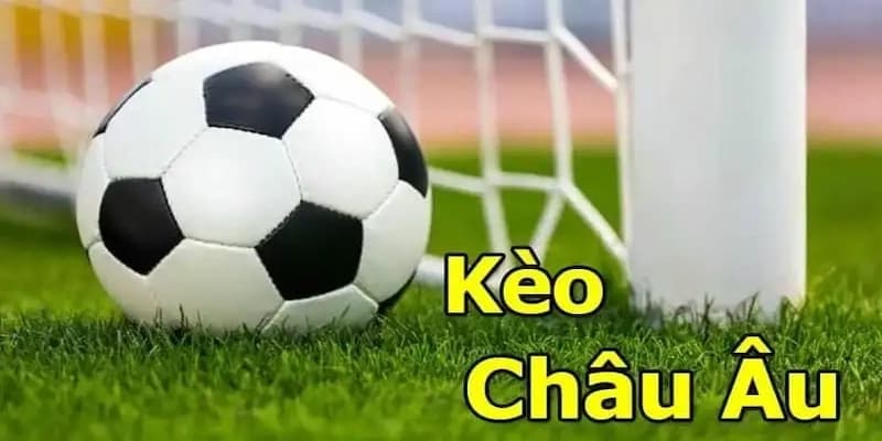 Khám phá các giải đấu hàng đầu để anh em chinh phục kèo châu Âu