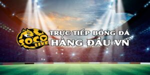 Tổng quan về nền tảng giải trí thể thao Socolive