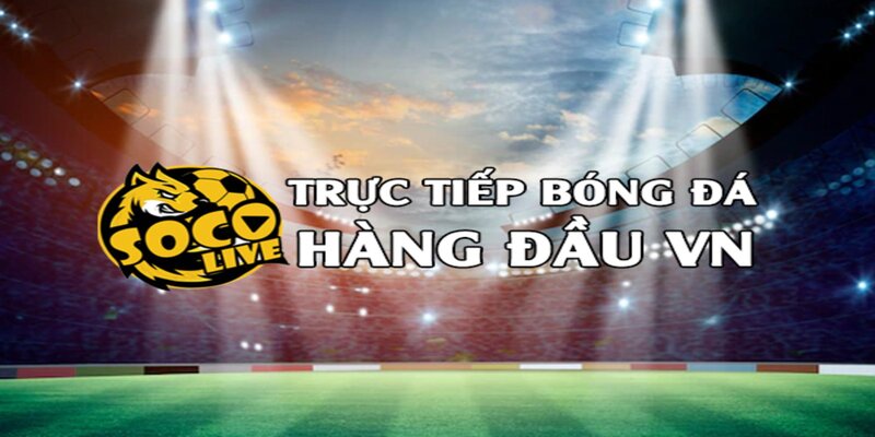 Tổng quan về nền tảng giải trí thể thao Socolive