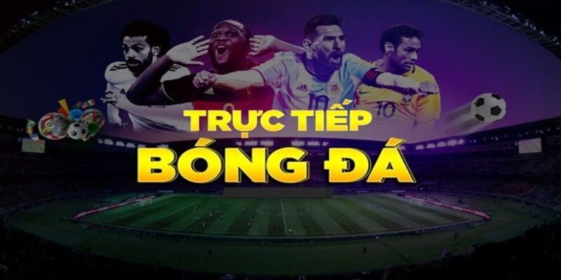 Những lý do khiến xem bóng đá Socolive trở thành xu hướng